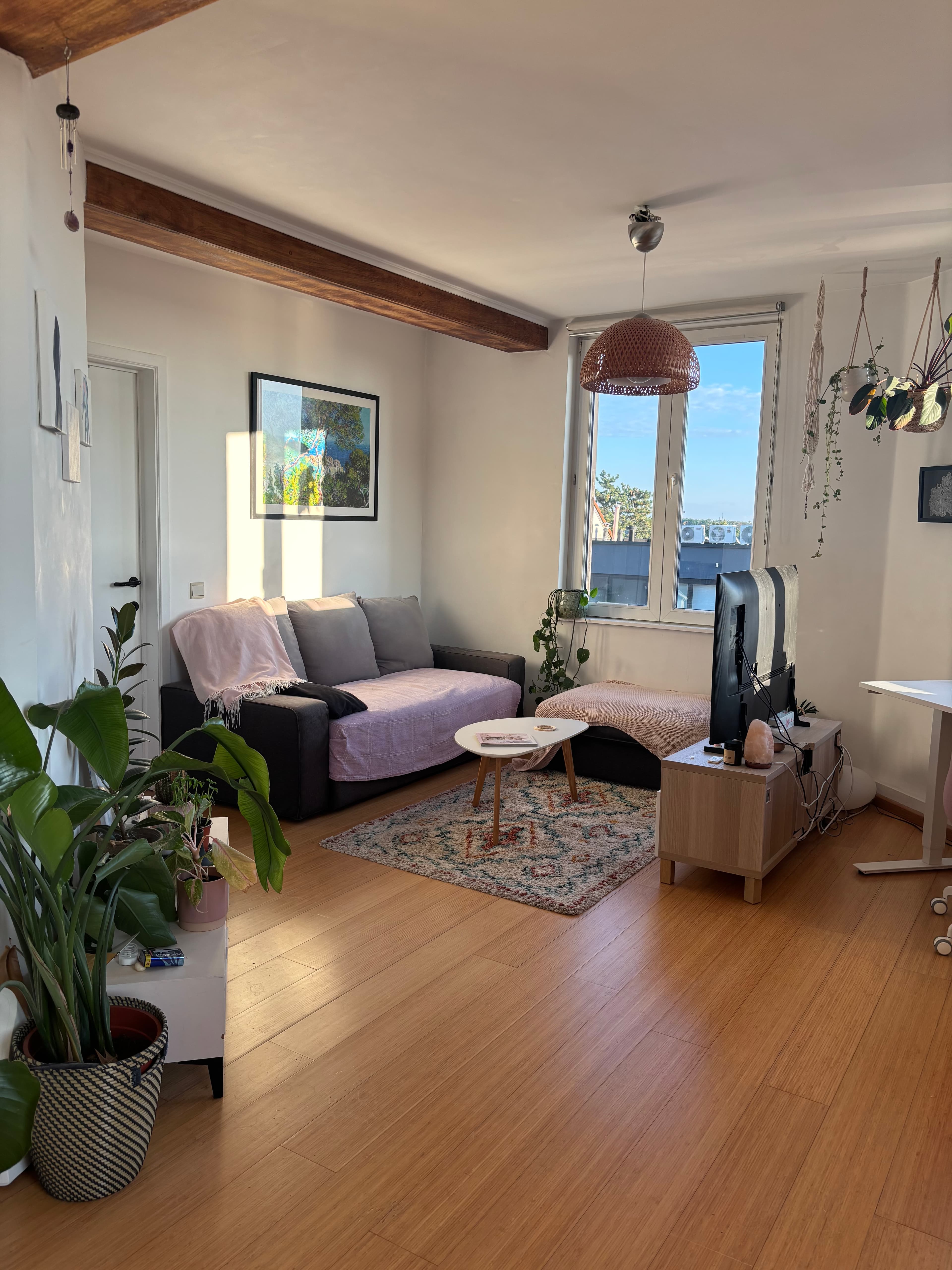 Cozy apartment in Brussels — 2-bedroom apartment in Brussels, Belgium (photo 1 of 12)