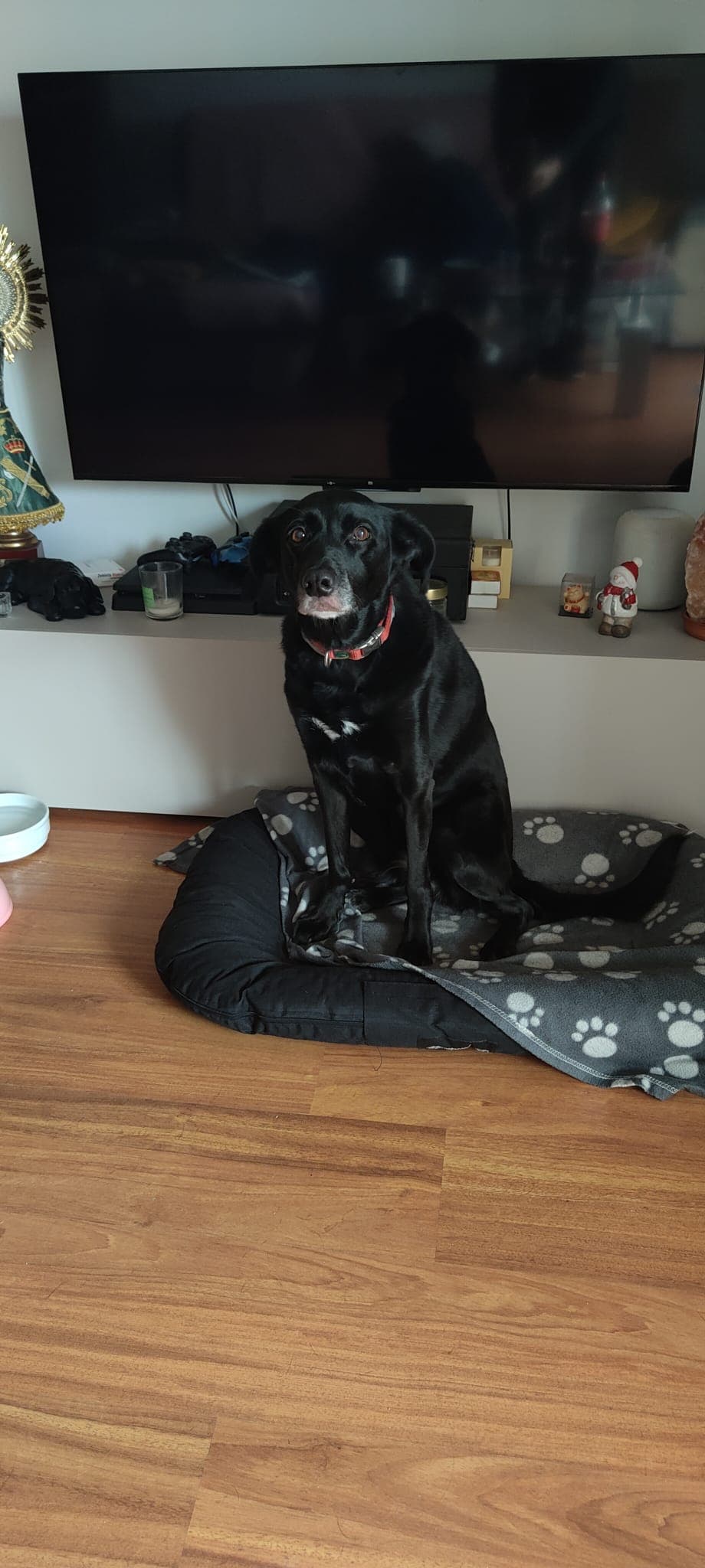 Cosy flat in the heart of Mallorca - Previous