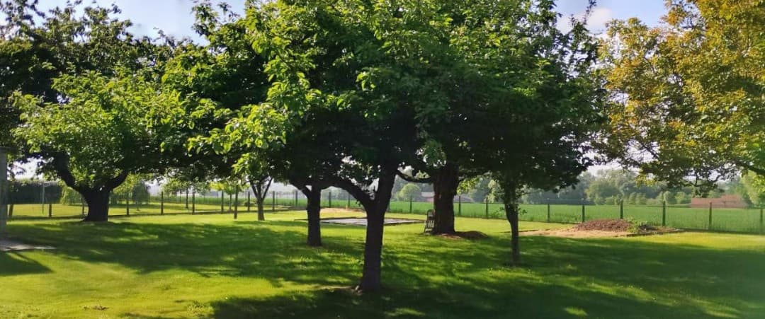 Big luxurious loft in nature near Ghent - Next